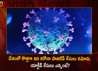 India Record 80 Fresh Corona Positive Cases and 220.45 Cr Total Vaccine Doses have been Administered,Covid Deaths,Covid Last 24 Hours, 80 People Tested Positive,Coronavirus In India,Mango News,Mango News Telugu,Covid In India,Covid,Covid-19 India,Covid-19 Latest News And Updates,Covid-19 Updates,Covid India,India Covid,Covid News And Live Updates,Carona News,Carona Updates,Carona Updates,Cowaxin,Covid Vaccine,Covid Vaccine Updates And News,Covid Live