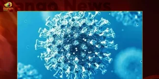 India Reports 188 Covid-19 Positive Cases 201 Recoveries in Last 24 Hours,201 Covid Recoveries,Covid Last 24 Hours, 188 People Tested Positive,Coronavirus In India,Mango News,Mango News Telugu,Covid In India,Covid,Covid-19 India,Covid-19 Latest News And Updates,Covid-19 Updates,Covid India,India Covid,Covid News And Live Updates,Carona News,Carona Updates,Carona Updates,Cowaxin,Covid Vaccine,Covid Vaccine Updates And News,Covid Live