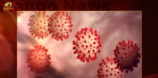 Sentinel Sequencing of 324 COVID Positive Samples Reveals Presence of All Omicron Variants in Community Ministry of Health,Sentinel Sequencing,324 COVID Positive Samples,Reveals Presence of All Omicron Variants,Omicron Variants,Ministry of Health,Mango News,Mango NewsTelugu,BF7 Variant Cases,BF7 Variant Latest News and Updates,Omicron BF7 Symptoms,BF7 Variant Symptoms,BF7 Variant Severity,Omicron BF7 In India,BF7 Covid Variant,Ba 5 1 7 Variant,Omicron New Variant,Omicron New Variant In India,Omicron Bf.7 Symptoms,Bf.7 Variant Severity,Omicron Bf.7 In India,Ba 5.1 7 Variant,Bf.7 Variant,BF7 Variant In India,Bf.7 Variant Covid,Bf.7 Variant Cdc,Bf.7 Variant Canada,Bf.7 Variant Uk,Bf.7 Variant Belgium,Bf.7 Variant Mutations,Covid BF7 Variant,Omicron BF7 Variant,Covid BF7 Variant Symptoms