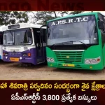 APSRTC To Run 3800 Special Buses For Maha Shivratri Festival on February 18 and 19 For Devotees,APSRTC,APSRTC Festive Discount,APSRTC Discount For Commuters,Mango News,Mango News Telugu,APSRTC Latest News and Updates,APSRTC Announces Festival Discount,APSRTC Special Fares,APSRTC Sankranti Fares 2023,APSRTC Sankranti Fares,Sankranti Fares 2023,APSRTC Online Booking,Apsrtc Bus Timings Today,Book APSRTC Bus Tickets,Andhra Pradesh State Road Transport Corporation