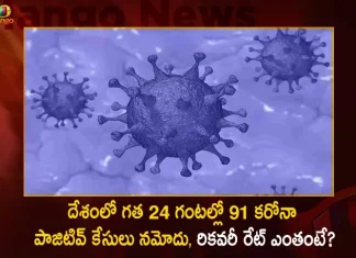 Corona in India: 91 New Positive Cases Reported and Active Cases Down to 1817,Covid Deaths,Covid Last 24 Hours, 91 People Tested Positive,Coronavirus In India,Mango News,Mango News Telugu,Covid In India,Covid,Covid-19 India,Covid-19 Latest News And Updates,Covid-19 Updates,Covid India,India Covid,Covid News And Live Updates,Carona News,Carona Updates,Carona Updates,Cowaxin,Covid Vaccine,Covid Vaccine Updates And News,Covid Live