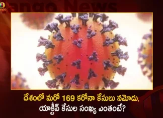 India 169 New Corona Positive Cases 140 Recoveries Reported In Last 24 Hours,India New Corona Cases,169 New Covid Positive Cases,140 Covid Recoveries India,India Covid 19 Cases In 24 Hours, Mango News, Mango News Telugu,Worldometer Coronavirus India,All India Covid 19 Cases Today,All India Covid 19 Cases Today List,Average Covid Cases Per Day In India,Covid Cases In India In Last 24 Hours Today,Covid Cases In India In Last 48 Hours Today,Covid-19 Org India,Current India Covid 19 Cases,India Active Covid 19 Cases,India Covid 19 Cases,India Covid 19 Cases Delhi,India Covid 19 Cases News,India Covid 19 Cases Omicron,India Covid 19 Cases Today Live,India Covid 19 Cases Tracker,India Covid 19 Cases Update,India Covid 19 Cases Update Today,Indian Covid 19 Cases,Indiana Covid 19 Cases,Total Vaccination In India Till Today
