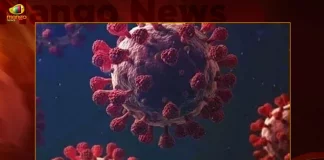 India Records 102 Fresh Covid-19 Positive Cases Vaccination Coverage Exceeds 220.63 Cr,Covid Deaths,Covid Last 24 Hours, 102 People Tested Positive,Coronavirus In India,Mango News,Mango News Telugu,Covid In India,Covid,Covid-19 India,Covid-19 Latest News And Updates,Covid-19 Updates,Covid India,India Covid,Covid News And Live Updates,Carona News,Carona Updates,Carona Updates,Cowaxin,Covid Vaccine,Covid Vaccine Updates And News,Covid Live