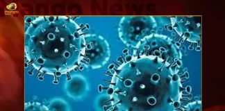 India Reports 82 New Covid-19 Positive Cases 85 Recoveries in Last 24 Hours,India Reports 82 New Covid-19 Positive Cases, 85 Recoveries in Last 24 Hours, Covid Deaths,Covid Last 24 Hours, 82 People Tested Positive,Coronavirus In India,Mango News,Covid In India,Covid,Covid-19 India,Covid-19 Latest News And Updates,Covid-19 Updates,Covid India,India Covid,Covid News And Live Updates,Carona News,Carona Updates,Carona Updates,Cowaxin,Covid Vaccine,Covid Vaccine Updates And News,Covid Live