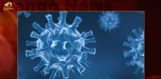 India Reports 89 Fresh Corona Positive Cases 135 Recoveries in Last 24 Hours,India Reports 89 New Covid-19 Positive Cases, 135 Recoveries in Last 24 Hours,Coronavirus In India,Mango News,Mango News Telugu,Covid In India,Covid,Covid-19 India,Covid-19 Latest News And Updates,Covid-19 Updates,Covid India,India Covid,Covid News And Live Updates,Carona News,Carona Updates,Carona Updates,Cowaxin,Covid Vaccine,Covid Vaccine Updates And News,Covid Live