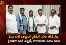 సీఎం జగన్ సమక్షంలో వైసీపీలో చేరిన టీడీపీ సీనియర్ నేత, కైకలూరు మాజీ ఎమ్మెల్యే జయమంగళ వెంకట రమణ TDP Senior Leader Kaikaluru Ex MLA Jayamangala Venkata Ramana Joins YSRCP in Presence of CM Jagan,TDP Senior Leader, Kaikaluru Ex MLA Jayamangala Venkata Ramana.Joins YSRCP in Presence of CM Jagan,Mango News,Mango News Telugu,Tdp Chief Chandrababu Naidu,AP CM YS Jagan Mohan Reddy,YS Jagan News And Live Updates, YSR Congress Party, Andhra Pradesh News And Updates, AP Politics, Janasena Party, TDP Party, YSRCP, Political News And Latest Updates