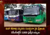 APSRTC To Run 3800 Special Buses For Maha Shivratri Festival on February 18 and 19 For Devotees,APSRTC,APSRTC Festive Discount,APSRTC Discount For Commuters,Mango News,Mango News Telugu,APSRTC Latest News and Updates,APSRTC Announces Festival Discount,APSRTC Special Fares,APSRTC Sankranti Fares 2023,APSRTC Sankranti Fares,Sankranti Fares 2023,APSRTC Online Booking,Apsrtc Bus Timings Today,Book APSRTC Bus Tickets,Andhra Pradesh State Road Transport Corporation