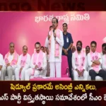 BRS Party Extensive Meeting: CM KCR Clarifies Assembly Elections will Done as per Schedule,BRS Party Extensive Meeting,CM KCR Clarifies Assembly Elections,Assembly Elections will Done as per Schedule,Mango News,Mango News Telugu,Telangana CM KCR rules out early polls,CM K Chandrashekhar Rao rules out early polls,MLAs To Stay In Constituencies,No early polls, Telangana election as per schedule,KCR Clarified No Early Elections in State,CM KCR Clarified Assembly Elections,Telangana Latest News,Telangana Political News And Updates,CM KCR News and Updates