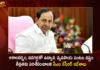 CM KCR Orders to Examine Severity of Damage to Horticulture and Agricultural Crops due to Untimely Rain and Hail,CM KCR Orders to Examine Severity,Damage to Horticulture and Agricultural Crops,CM KCR on Untimely Rain and Hail,CM KCR Orders on Damage to Horticulture and Agriculture,Mango News,Mango News Telugu,CM KCR News And Live Updates,Rain of Crushed Stones,CM KCR Hyderabad Heavy Rains News,Hyderabad IMD Issues Yellow Alert,Hyderabad Rains Latest Updates,CM KCR News And Live Updates,Telangana Horticulture and Agriculture Latest News,Telangana Horticulture and Agriculture Live News