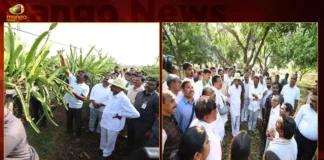 CM KCR Visited Lakshmipur Village Of Karimnagar District And Inspects Crops Damaged By The Untimely Rains Hail Strom,CM KCR Visited Lakshmipur Village,CM KCR Inspects Karimnagar District Crops Damaged,Karimnagar Crops Damaged By The Untimely Rains Hail Strom,Mango News,Mango News Telugu,Karimnagar District Officials Revealed CM,CM KCR Visits For Assessment Of Crop Damage,CM KCR Namasthe Telangana Today,Telangana CM To Inspect Areas Hit By Untimely Rains,Karimnagar Latest News