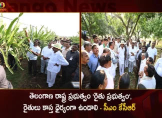 CM KCR Visited Lakshmipur Village Of Karimnagar District And Inspects Crops Damaged By The Untimely Rains Hail Strom,CM KCR Visited Lakshmipur Village,CM KCR Inspects Karimnagar District Crops Damaged,Karimnagar Crops Damaged By The Untimely Rains Hail Strom,Mango News,Mango News Telugu,Karimnagar District Officials Revealed CM,CM KCR Visits For Assessment Of Crop Damage,CM KCR Namasthe Telangana Today,Telangana CM To Inspect Areas Hit By Untimely Rains,Karimnagar Latest News
