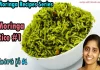 How To Make Drumstick Leaf Rice Recipe,Drumstick Leaf Rice Recipe,How To Make Drumstick Recipe,Mango News,Mango News Telugu,Moringa Leaves Rice Recipe,Moringa Leaves Rice,Munagaku Rice,Moringa Leaves Series,Munagaku Series,Munagaku Series In Telugu,Munagaku Leaves Benefits,Moringa,Moringa Benefits,Moringa Powder,Munagaku,Munagaku Recipes,Munagaku Recipes In Telugu,Munagaku Curry In Telugu,Moringarecipes,Moringa,Munagaku,Trending,Series,Moringa Series,Sootiga Suthi,Sootiga Suthi Lekunda Vantalu,Drumstick Leaves,Moringa Leaves,Yummyrecipes