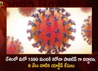 India Records 1590 New Covid-19 Positive Cases and Active Cases Tally Exceeds Again 8000,India New Covid-19 Cases,India Registers 1590 New Cases,India Active Cases Exceeds 8000,Mango News,Mango News Telugu,Coronavirus Cases In 24 Hours,Covid-19 in India,Information about COVID-19,India Covid Last 24 Hours Report,Active Corona Cases,Corona Active Cases Exceeds,Corona News,Corona Updates,Coronavirus In India,Coronavirus Outbreak,COVID 19 India,COVID 19 Updates,Covid in India,Covid Last 24 Hours Record,Covid Last 24 Hours Report,Covid Live Updates,Covid News And Live Updates,Covid Vaccine,Covid Vaccine Updates And News,COVID-19 Latest News And Updates