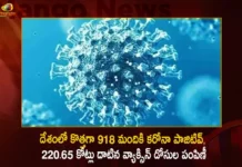 India Records 918 Fresh Corona Positive Cases and Vaccination Coverage Exceeds 220.65 Cr-Doses,India Records 918 Fresh Corona Positive Cases,Vaccination Coverage Exceeds,Vaccination Coverage 220.65 Cr-Doses,Mango News,Mango News Telugu,Covid-19 in India,Information about COVID-19,India Covid Last 24 Hours Report,Active Corona Cases,Corona Active Cases Exceeds,Corona News, Corona Updates,Coronavirus In India,Coronavirus outbreak,COVID 19 India,COVID 19 Updates,Covid in India,Covid Last 24 Hours Record,Covid Last 24 Hours Report,Covid Live Updates,Covid News And Live Updates,Covid Vaccine,Covid Vaccine Updates And News,COVID-19 Latest News And Updates