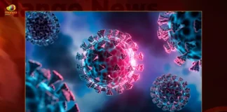 India Reports 1300 New Covid-19 Positive Cases 718 Recoveries in Last 24 Hours,India Reports 1300 New Covid-19 Positive Cases,India 718 Recoveries in Last 24 Hours,India Covid-19 Positive Cases,Mango News,Mango News Telugu,Covid-19 in India,Information about COVID-19,India Covid Last 24 Hours Report,Active Corona Cases,Corona Active Cases Exceeds,Corona News,Corona Updates,Coronavirus In India,Coronavirus Outbreak,COVID 19 India,COVID 19 Updates,Covid in India,Covid Last 24 Hours Record,Covid Last 24 Hours Report,Covid Live Updates,Covid News And Live Updates,Covid Vaccine,Covid Vaccine Updates And News,COVID-19 Latest News And Updates