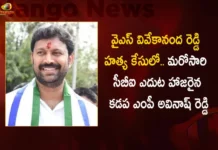 Kadapa MP Avinash Reddy Appears Before CBI For Enquiry in Ex-Minister YS Vivekananda Reddy Assassination Case,Kadapa MP Avinash Reddy Before CBI,CBI For Enquiry in Ex-Minister Case,YS Vivekananda Reddy Assassination Case,Mango News,Mango News Telugu,Kadapa MP Avinash Reddy Filed Petition,Viveka Murder Case,CBI serves fresh notice,YS Vivekananda Reddy murder,Telangana Latest News,Telangana News Today,Telangana High Court Latest News,Telangana High Court Live News,Andhra pradesh Politics,MP Avinash Reddy Latest News,CBI Enquiry For MP Avinash Reddy