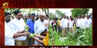 Minister Errabelli Dayakar Rao Extensive Tour In Affected Areas by Untimely Rain and Hail,Minister Errabelli Dayakar Rao,Errabelli Tour In Affected Areas,Errabelli Dayakar Tour on Untimely Rain and Hail Areas,Mango News,Mango News Telugu,Minister Errabelli Dayakar Rao Inspects Rain Damage,Minister Errabelli Dayakar Latest News,Minister Errabelli Dayakar Latest Updates,Minister Errabelli Dayakar Live News,Telangana Latest News,Telangana Rainfall Latest Updates