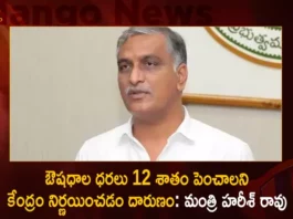 Minister Harish Rao Responds over Essential Medicines to Get Costlier by 12 Percent