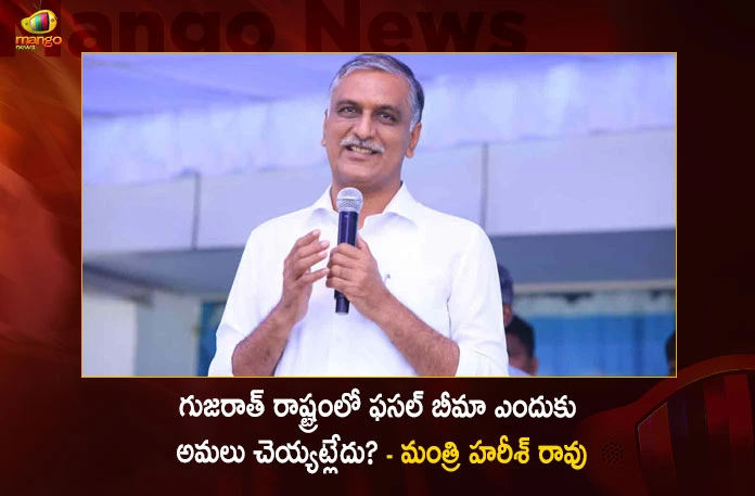 Why Not Implement PM Fasal Bima Yojana in Gujarat State Minister Harish Rao Questions State BJP Chief Bandi Sanjay,Why Not Implement PM Fasal Bima Yojana in Gujarat,State Minister Harish Rao Questions,Harish Rao Questions Bandi Sanjay,State BJP Chief Bandi Sanjay,Mango News,Mango News Telugu,PM Fasal Bima Yojana News Today,Telangana BJP Chief Bandi Sanjay Kumar News,State Minister Harish Rao Latest News,State Minister Harish Rao Latest Updates,Harish Rao vs Bandi Sanjay