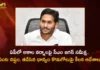 CM Jagan Directs Officials To Assess Crop Damage Buy Wet Paddy For Helping Farmers who Suffered with Untimely Rains,CM Jagan Directs Officials To Assess Crop Damage,Buy Wet Paddy For Helping Farmers,Farmers who Suffered with Untimely Rains,Mango News,Mango News Telugu,Andhra CM directs officials to help farmers,Take steps to help farmers suffering losses,AP to start enumeration of damage,AP CM YS Jagan Mohan Reddy,Andhra Pradesh Latest News,Andhra Pradesh News,Andhra Pradesh News and Live Updates