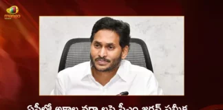 CM Jagan Directs Officials To Assess Crop Damage Buy Wet Paddy For Helping Farmers who Suffered with Untimely Rains,CM Jagan Directs Officials To Assess Crop Damage,Buy Wet Paddy For Helping Farmers,Farmers who Suffered with Untimely Rains,Mango News,Mango News Telugu,Andhra CM directs officials to help farmers,Take steps to help farmers suffering losses,AP to start enumeration of damage,AP CM YS Jagan Mohan Reddy,Andhra Pradesh Latest News,Andhra Pradesh News,Andhra Pradesh News and Live Updates