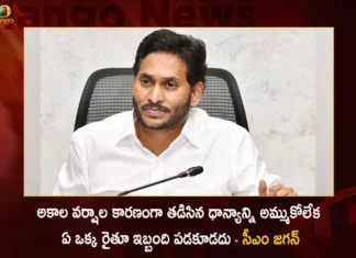CM Jagan Held Reviw Meet on Agriculture Department Orders Officials For Buying Wet Grain Due to Untimely Rains,CM Jagan Held Reviw Meet on Agriculture Department,CM Jagan Review Meeting On Agriculture Department,Buying Wet Grain Due to Untimely Rains,Mango News,Mango News Telugu,Orders Officials For Buying Wet Grain,CM Jagan Latest News And Updates,Agriculture Department Latest News And Updates,Buying Wet Grain Due to Untimely Rains,CM Jagan Review Meet Latest News And Updates