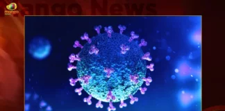 Corona Updates India Reports 1839 New Covid-19 Infections in Last 24 Hrs Active Cases Dip To 25178,Corona Updates,India Reports 1839 New Covid 19 Infections,Covid 19 Infections in Last 24 Hrs,Corona Active Cases Dip To 25178,Mango News,Mango News Telugu,Covid-19,Coronavirus,Corona Updates India,Corona Updates,Covid-19 Updates,Covid-19 Latest News,Coronavirus Live Updates,Corona,India Covid-19,India COVID,Coronavirus Outbreak in India,India Coronavirus,COVID-19 in India,India Covid-19 Cases,India Coronavirus Cases,India Covid-19 New Cases,India Coronavirus New Cases