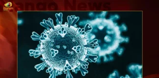 Corona Updates India Reports 2109 New Covid-19 Infections in Last 24 Hrs Active Cases Dip To 21406,Covid-19,Coronavirus,Covid-19 Updates,Corona Updates,India Reports 2109 New Covid 19 Infections,Covid 19 Infections in Last 24 Hrs,Corona Active Cases Dip To 21406,Mango News,Mango News Telugu,Corona Updates India,Corona Updates,Covid-19 Latest News,Coronavirus Live Updates,Corona,India Covid-19,India COVID,Coronavirus Outbreak in India,India Coronavirus,COVID-19 in India,India Covid-19 Cases,India Coronavirus Cases,India Covid-19 New Cases,India Coronavirus New Cases