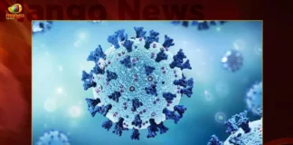 Corona Updates India Reports 2961 New Covid-19 Infections in Last 24 Hrs Active Cases Dip To 30041,Corona Updates India Reports 2961 New Covid-19 Cases,Covid-19,Coronavirus,Mango News,Mango News Telugu,India Reports 2961 New Covid-19 Infections in Last 24 Hrs,Corona Updates India,Corona Updates,Covid-19 Updates,Covid-19 Latest News,Coronavirus Live Updates,Corona,India Covid-19,India COVID,India Coronavirus,COVID-19 in India,India Covid-19 Cases,India Coronavirus Cases,India Covid-19 New Cases,India Coronavirus New Cases,India Reports 2961 New Covid-19 Cases,India Coronavirus Live Updates,Coronavirus Live Updates,India Active Cases
