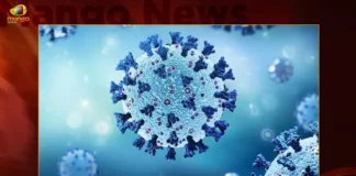 Corona Updates India Reports 3325 New Covid-19 Infections in Last 24 Hrs Active Cases Dip To 44175,India Reports 3325 New Covid-19 Cases,India Coronavirus Live Updates,Coronavirus Live Updates,India Active Cases 44175,Coronavirus Cases In India,Mango News,Mango News Telugu,Covid-19,Coronavirus,Corona Updates India,Corona Updates,Covid-19 Updates,Covid-19 Latest News,Coronavirus Live Updates,Corona,India Covid-19,India COVID,Coronavirus Outbreak in India,India Coronavirus,COVID-19 in India,India Covid-19 Cases,India Coronavirus Cases,India Covid-19 New Cases,India Coronavirus New Cases
