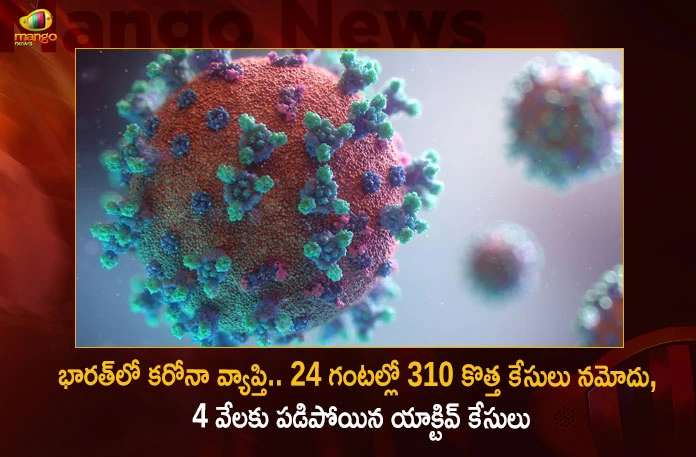 India Corona Updates Union Health Ministry Reports 310 New Infections and 4709 Active Cases in Last 24 Hrs,India Corona Updates,Union Health Ministry Reports 310 New Infections,India 4709 Active Cases in Last 24 Hrs,Mango News,Mango News Telugu,MoHFW,India Fights Corona,Coronavirus Latest News,COVID-19 Current cases,COVID-19 pandemic in India,Coronavirus Statistics,Official Updates Coronavirus,Ministry of Health,Corona cases in India today,Corona cases in India today live updates,Corona new updates in India,Corona updates in India 2023,Coronavirus Latest News,Coronavirus outbreak,Coronavirus Update in India
