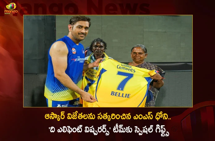 MS Dhoni Gifts CSK Jersey To Oscar-Winning The Elephant Whisperers Fame Bomman and Bellie,MS Dhoni Gifts CSK Jersey To Oscar-Winning,Oscar-Winning The Elephant Whisperers,Oscar-Winning The Elephant Whisperers Fame Bomman and Bellie,Mango News,Mango News Telugu,MS Dhoni Gifts CSK Jersey To Fame Bomman and Bellie,MS Dhoni gifts personalised CSK jerseys to team of Oscar-winner,MS Dhoni gifts CSK number 7 jersey to Elephant Whisperers,The Elephant Whisperers,Bomman and Bellie,MS Dhoni Latest News And Updates