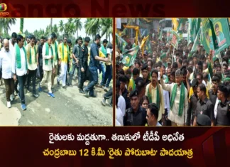TDP Chief Chandrababu Naidu Holds 12 km Rythu Poru Bata Padayatra in Support of Farmers at Tanuku,Rythu Poru Bata Padayatra,Rythu Poru Bata Padayatra By TDP Chief,TDP Chief Chandrababu Naidu To Visit Tanuku,Mango News,Mango News Telugu,TDP Chief Chandrababu Naidu Will Hold 12 km Padayatra,12 km Padayatra In Tanuku,Padayatra in Support of Farmers,Tomorrow Tanuku Visit By Chandrababu Naidu,Tomorrow 12km Padayatra In Tanuku,TDP Chief Chandrababu Naidu,Chandrababu Naidu Latest News And Updates,Tanuku Latest News And Updates