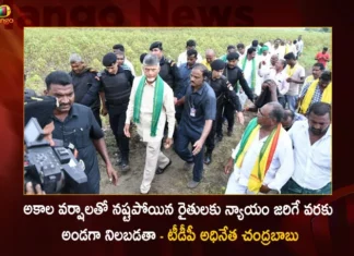 అకాల వర్షాలతో నష్టపోయిన రైతులకు న్యాయం జరిగే వరకు అండగా నిలబడతా – టీడీపీ అధినేత చంద్రబాబు TDP Chief Chandrababu Visits Crop Fields of Farmers Who Lost Due to Untimely Rains in Joint Godavari Districts,TDP Chief Chandrababu Visits Crop Fields,Farmers Affected by Untimely Rains in Joint Godavari Districts,TDP Chief Chandrababu Visits Godavari Districts,Mango News,Mango News Telugu,TDP Chief Nara Chandrababu Naidu with Farmers,Crops Damaged Due To Untimely Heavy Rains,TDP Chief Chandrababu,TDP Chief Chandrababu Latest News And Updates,Godavari Districts Latest News And Updates