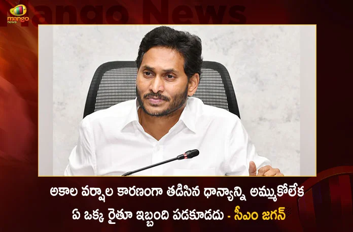 CM Jagan Held Reviw Meet on Agriculture Department Orders Officials For Buying Wet Grain Due to Untimely Rains,CM Jagan Held Reviw Meet on Agriculture Department,CM Jagan Review Meeting On Agriculture Department,Buying Wet Grain Due to Untimely Rains,Mango News,Mango News Telugu,Orders Officials For Buying Wet Grain,CM Jagan Latest News And Updates,Agriculture Department Latest News And Updates,Buying Wet Grain Due to Untimely Rains,CM Jagan Review Meet Latest News And Updates