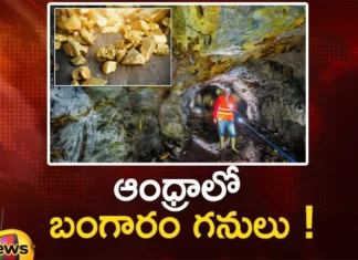 NMDC Plans To Invest Rs.500 Cr For Gold Mining in AP,NMDC Plans For Gold Mining,Gold Mining in AP,AP Gold Mining,Gold Mining AP,Mango News,Mango News Telugu,National Mineral Development Corporation,National Mineral Development Corporation Latest News,National Mineral Development Corporation Updates,National Mineral Development Corporation AP,AP National Mineral Development Corporation,AP NMDC,NMDC Gold Mining In AP,NMDC Limited,NMDC Chairman