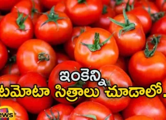 AP Couple Offered 51 kg Tomatoes To Goddess Nukalamma,AP Couple Offered 51 kg Tomatoes,51 kg Tomatoes To Goddess Nukalamma,AP Couple To Goddess Nukalamma,Tomatoes To Goddess Nukalamma,Mango News,Mango News Telugu,Devotees offer tomatoes in Tulabharam,Andhra Pradesh Parents hold Tulabharam,Devotee offered 51 kg tomatoes with tulabura,AP Couple Latest News,AP Couple Tomatoes To Goddess News Today,Andhra Pradesh Latest News,Andhra Pradesh News,Andhra Pradesh News and Live Updates,Goddess Nukalamma Latest News,AP Goddess Nukalamma Latest Updates