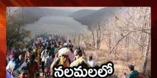 Ban on Movement of People in Nallamala Forest For 3 Months During Tigers Mate for Offspring,Ban on Movement of People in Nallamala Forest,Nallamala Forest Ban For 3 Months,Nallamala Forest During Tigers Mate for Offspring,People in Nallamala Forest,Mango News,Mango News Telugu,Ban on entry to Nallamala tourist spots,Wildlife conflict worsens in Nallamala region,Nallamala Forest News Today,Ban on entry to Nallamala tourist,Nallamala Forest Latest News,Nallamala Forest Latest Updates,Nallamala Forest Live News,Nallamala Tigers Mate Live Updates