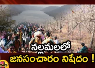 Ban on Movement of People in Nallamala Forest For 3 Months During Tigers Mate for Offspring,Ban on Movement of People in Nallamala Forest,Nallamala Forest Ban For 3 Months,Nallamala Forest During Tigers Mate for Offspring,People in Nallamala Forest,Mango News,Mango News Telugu,Ban on entry to Nallamala tourist spots,Wildlife conflict worsens in Nallamala region,Nallamala Forest News Today,Ban on entry to Nallamala tourist,Nallamala Forest Latest News,Nallamala Forest Latest Updates,Nallamala Forest Live News,Nallamala Tigers Mate Live Updates