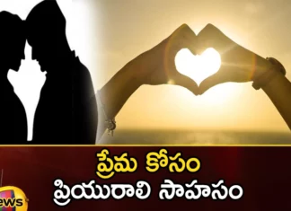 Bihar Girl Cuts Off Power Supply of Entire Village at Bettiah to Meet Her Boyfriend,Bihar Girl Cuts Off Power Supply of Entire Village,Cuts Off Power Supply of Entire Village,Bihar Girl Cuts Off Power to Meet Her Boyfriend,Bihar Girl Cuts Off Power at Bettiah,Cuts Off Power Supply at Bettiah to Meet Her Boyfriend,Mango News,Mango News Telugu,Girlfriend power cut for boyfriend, Bihar,Daring Lover, Lover,Bihar Girl Latest News,Bihar Girl Latest Updates,Bihar Girl Cuts Off Power News Today