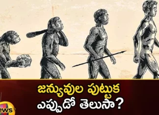 Britain The Scientists of Leicester University Says That The Birth of Genes Happened 65 Million Years Ago,Britain The Scientists of Leicester University,The Birth of Genes Happened 65 Million Years Ago,The Birth of Genes,Mango News,Mango News Telugu,Leicester University Says Birth of Genes,Birth of Genes 65 Million Years Ago,The Scientists of Leicester University News Today,birth of genes, Genes involved in learning, memory, aggression, and other complex , UK, University of Leicester,Leicester University Latest News,Leicester University Latest Updates