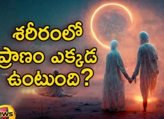 Do You Know What Happens After Lost Life Where It Goes From Us,What Happens After Lost Life,Lost Life Where It Goes,Lost Life Goes From Us,Do You Know After Lost Life,Mango News,Mango News Telugu,Do you know where life goes after we die, Where is life in the body, If the part gets damaged or dies,Group of Biological Processes or Reactions,Where Does the Soul Go Immediately,What Physically Happens,Methods of Estimation