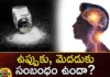 Does Eating Too Much Salt Damage The Brain,Eating Too Much Salt,Salt Damage The Brain,Brain Damage,Salt Damages Brain,Mango News,Mango News Telugu,Surprising findings on how salt affects,What too much salt can do,High salt diet triggers changes,Health Effects,How salt affects blood flow,Brain on Salt,High BP and low BP,Eating too much salt damage the brain,Does eating too much salt,Eating Too Much Salt News Today,Eating Too Much Salt Latest News,Salt Damage The Brain Latest News,Salt Damage The Brain Latest Updates