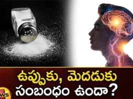 Does Eating Too Much Salt Damage The Brain,Eating Too Much Salt,Salt Damage The Brain,Brain Damage,Salt Damages Brain,Mango News,Mango News Telugu,Surprising findings on how salt affects,What too much salt can do,High salt diet triggers changes,Health Effects,How salt affects blood flow,Brain on Salt,High BP and low BP,Eating too much salt damage the brain,Does eating too much salt,Eating Too Much Salt News Today,Eating Too Much Salt Latest News,Salt Damage The Brain Latest News,Salt Damage The Brain Latest Updates