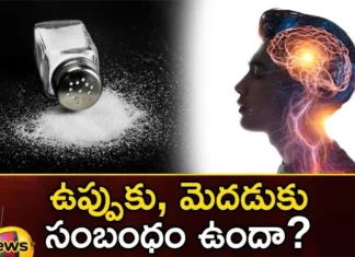 Does Eating Too Much Salt Damage The Brain,Eating Too Much Salt,Salt Damage The Brain,Brain Damage,Salt Damages Brain,Mango News,Mango News Telugu,Surprising findings on how salt affects,What too much salt can do,High salt diet triggers changes,Health Effects,How salt affects blood flow,Brain on Salt,High BP and low BP,Eating too much salt damage the brain,Does eating too much salt,Eating Too Much Salt News Today,Eating Too Much Salt Latest News,Salt Damage The Brain Latest News,Salt Damage The Brain Latest Updates