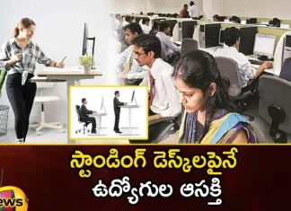 Employees Who Says That They Will Work Standing For 8 Hours Instead of Sitting,Employees Instead of Sitting,Employees Will Work Standing For 8 Hours,Employees Who Says That They Will Work Standing,Mango News,Mango News Telugu,Demand for standing desks, standing desks,will work standing for 8 hours,Apple Company,Changes in lifestyle,Swelling of the legs,Distracted posture,Employees life style,Apple Company standing desk,Apple employees to stand at work,Employees to stand at work News Today,Employees to stand at work Latest News,Employees to stand at work Latest Updates