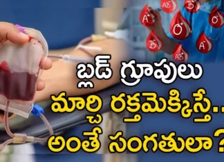 Red blood cells, white blood cells, platelets,When collecting blood,When transfusing blood,If One Group Of Blood Transfused Instead Of Another Group To The Patient What Happens,Group Of Blood Transfuse,Instead Of Another Group,What Happens To The Patient,Mango News, Mango News Telugu,Blood Transfusions,Blood Transfusion,Matching Blood Groups,Blood Groups,Blood Types,Blood Groups And Transfusions,Mismatched Blood Transfusion,Mismatched Blood Transfusion Causes