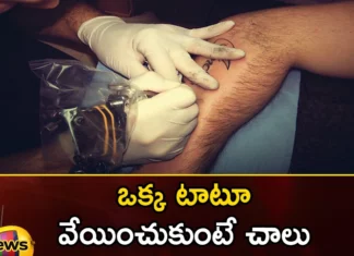 Austria,travel around the whole country, small tattoo on their back, railcard tattooed, Climate Ticket, Rs. 89 thousand, Austrian Minister Leonor Gevesler