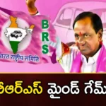 CM KCR Likely To Introduce New Schemes Ahead of Telangana Assembly Elections,CM KCR Likely To Introduce New Schemes,Schemes Ahead of Telangana Assembly Elections,Telangana Assembly Elections,Mango News,Mango News Telugu,KCRs Forecast For Telangana Assembly Elections,KCRs master plan, before the elections, CM KCR, Telengana Elections, Assembly Elections, Free Schemes,CM KCR Latest News,CM KCR Latest Updates,CM KCR News And Live Updates,Telangana Latest News And Updates,Telangana Politics, Telangana Political News And Updates