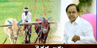 CM KCR Orders Release of Rs 19000 Cr For Crop Loan Waiver To Farmers Ahead of Assembly Polls,CM KCR Orders Release of Rs 19000 Cr,Release of Rs 19000 Cr For Crop Loan Waiver,Crop Loan Waiver To Farmers,CM KCR good news for farmers, CM KCR , good news for farmers, telangana farmers, farmer loan waiver,Loan Waiver To Farmers Ahead of Assembly Polls,Mango News,Mango News Telugu,As Telangana poll looms,KCR clears 2018 farm loan waiver,Telangana govt to resume farmer loan,CM KCR orders resumption and completion,Rs 1L crop loan waiver from today,KCR decides to complete farm loan,Telangana CM KCR orders release,CM KCR Latest News,CM KCR Latest Updates